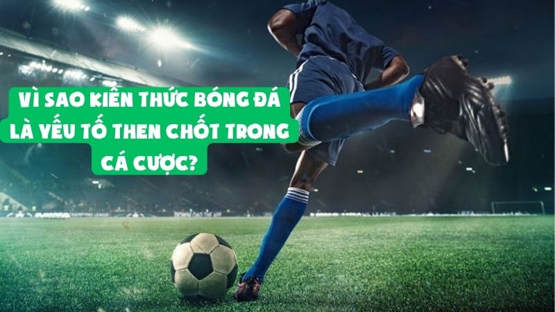 Tuyển Sinh Đào Tạo: Kiến Thức Bóng Đá Dành Cho Người Cá Cược