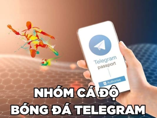 Tổng Quan Đôi Nét Về Nhóm Cá Độ Bóng Đá Telegram