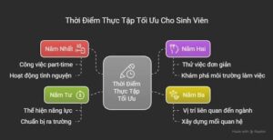 Sinh viên nên đi thực tập từ năm mấy là phù hợp?